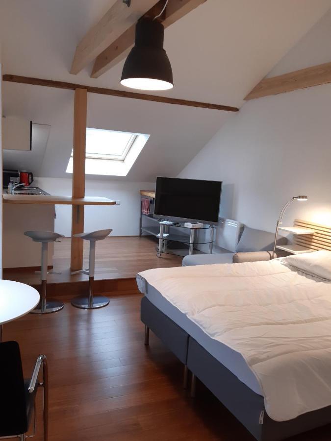 Loft Studio Avec Charme Et Authenticite Алткирх Екстериор снимка
